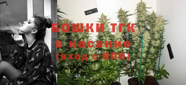 PSILOCYBIN Вязьма